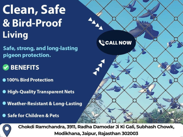 professional-bird-net-jaipur-for-home-office-safety-big-0